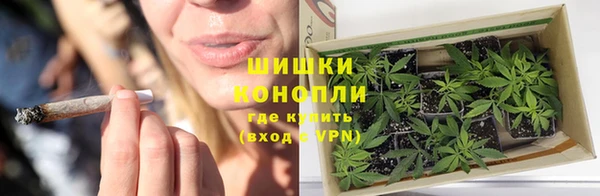 таблы Бородино