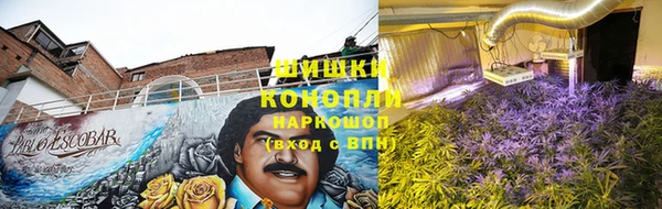 ECSTASY Бронницы