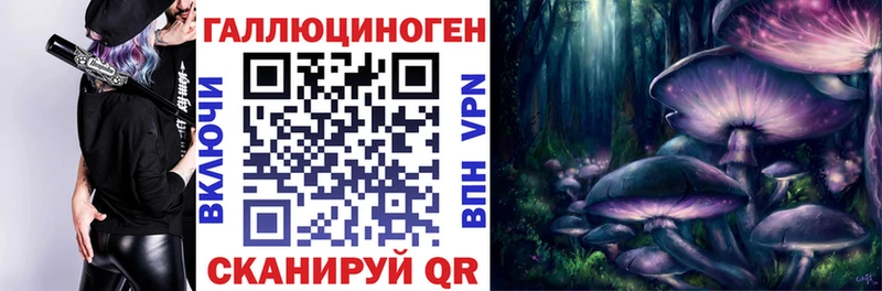 Псилоцибиновые грибы Cubensis  купить   Вичуга 